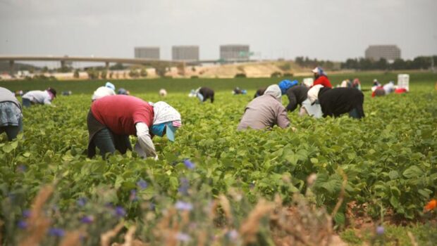 Basta andare nelle campagne fra le braccianti straniere del centro Italia per vedere come il patriarcato serva ai padroni agricoli per schiavizzarle e sfruttarle senza limiti.