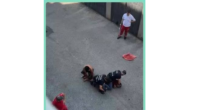 La morte di Fakir non è una fatalità. E’ la conseguenza diretta della politica dei padroni e dei loro partiti verso i migranti, che, per questo, saranno spinti sempre più a ribellarsi. Sarà compito degli operai stare al loro fianco.
